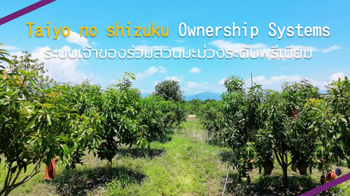 Presentation for ownership